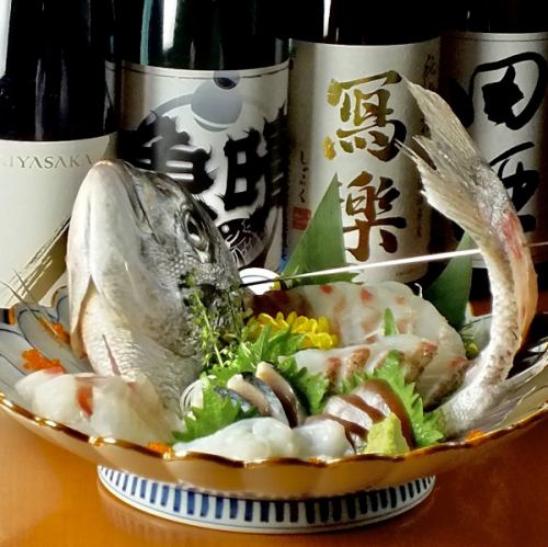 Fresh seafood procured directly from Toyosu is perfect for sake!