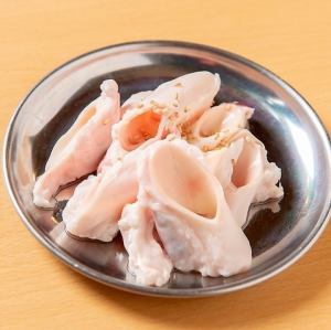 돼지 고리 코리 (대동맥)