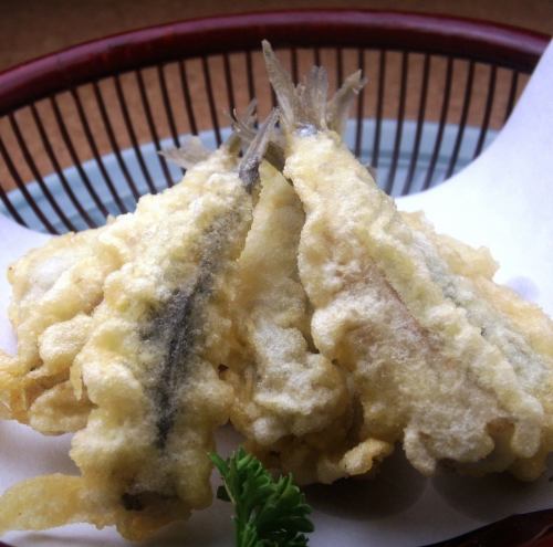 [Small sardine tempura]