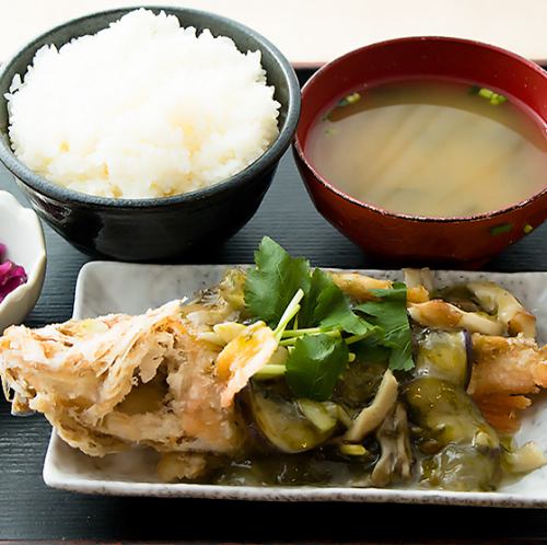 今日刺身套餐