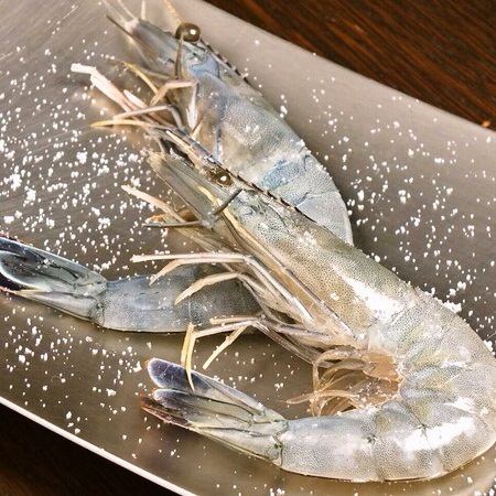 Angel Shrimp (2p )