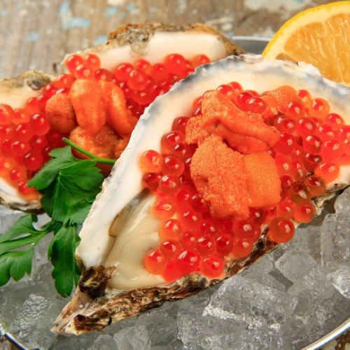 gout oysters