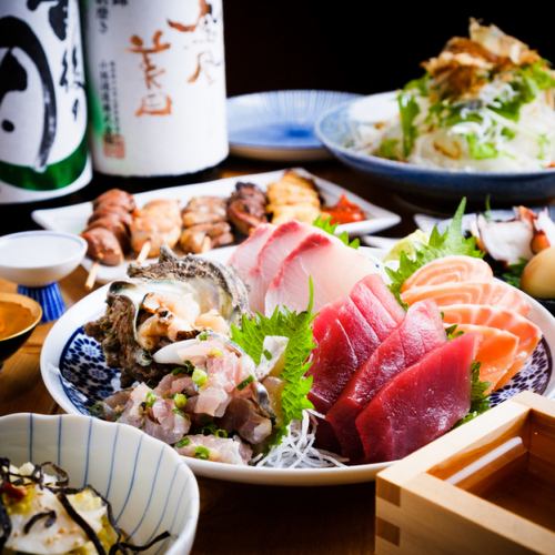生マグロ使用！豊洲直送鮮魚など、お酒が進む創作和食◎
