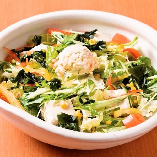 15品目野菜のメガ盛りサラダ