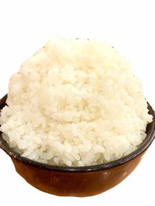 ごはん