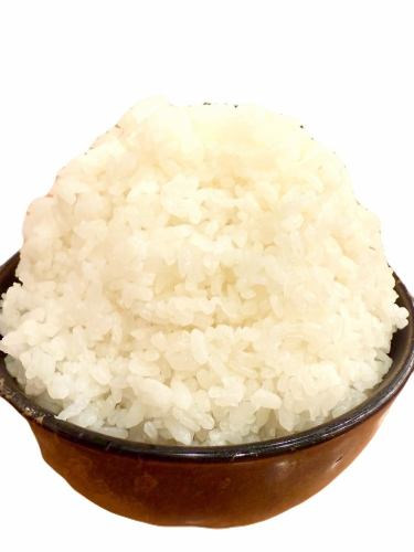 ごはん
