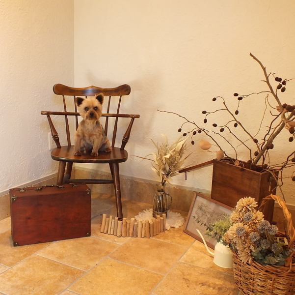 The shop is decorated in an antique style and looks great in photos♪ We also have a spot where you can take pictures of your dog!
