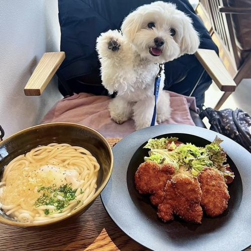 こだわりの料理をご提供♪