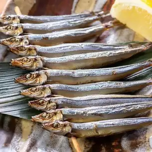Grilled sardines