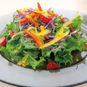 Colorful Garden Salad at Home Cafe