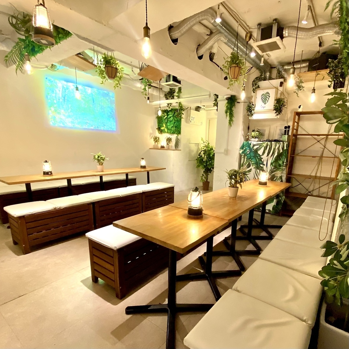Reservation party in Shibuya Recommended for 20-30 people