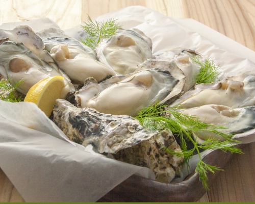 生牡蠣1種