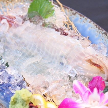 Outstanding freshness! Live squid sashimi