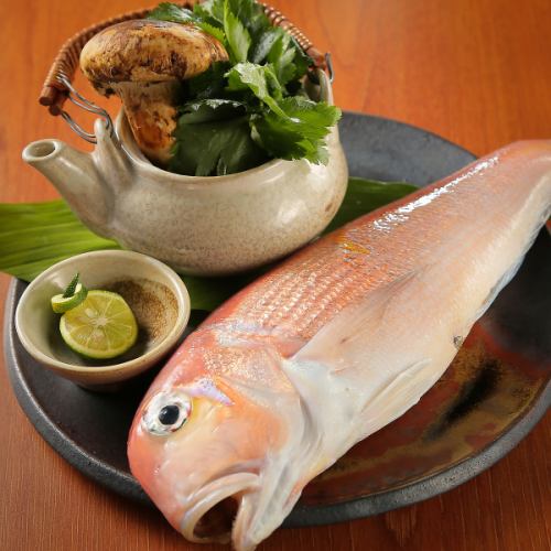 ここでしか食べられない、稀少なお魚たち