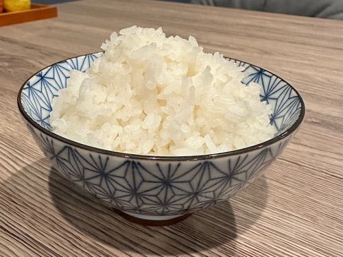 白ごはん 中 White rice