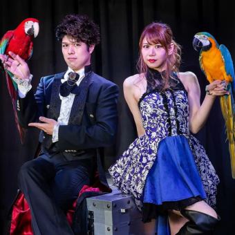 ★基本プラン★テーブルマジック&大迫力のステージマジックを堪能♪ 3500円