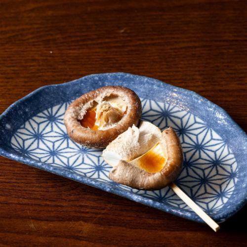 Shiitake mushroom (1)