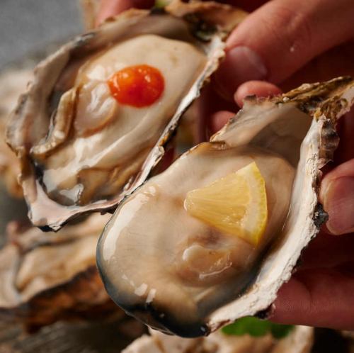 [Most popular] Raw oyster course