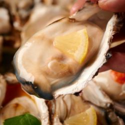 Raw oysters from Hyogo Prefecture