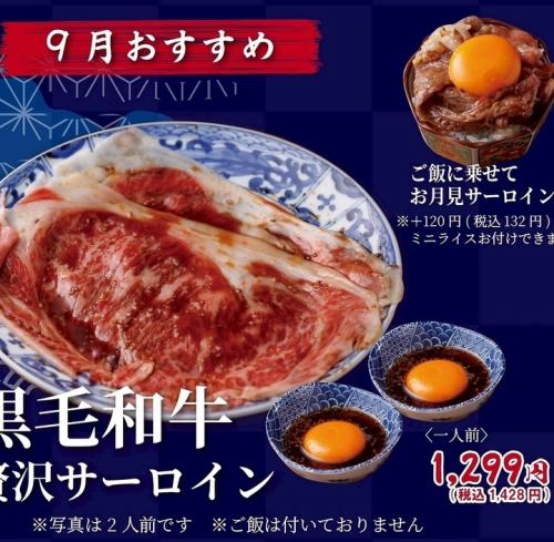 九月推荐！