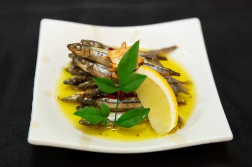 【あまみ】きびなごのオイルサーディン