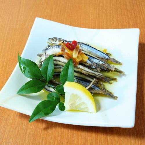 きびなごオイルサーディン