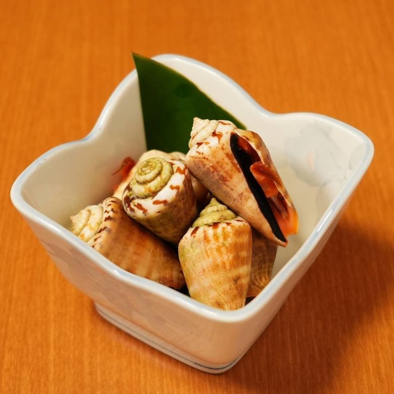 トビンニャ- マガキガイ-