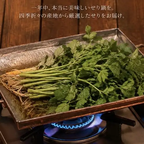 日式香菜火鍋（1人份）