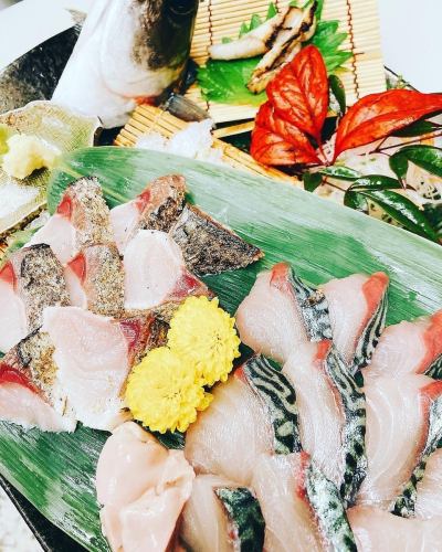 活け坊勢鯖一匹　(造 or 焼 or 煮)