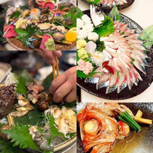 【いわしや自慢の魚達】