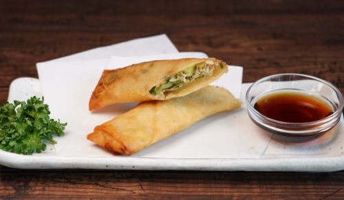 Gyoza spring rolls with lots of vegetables (1 piece)