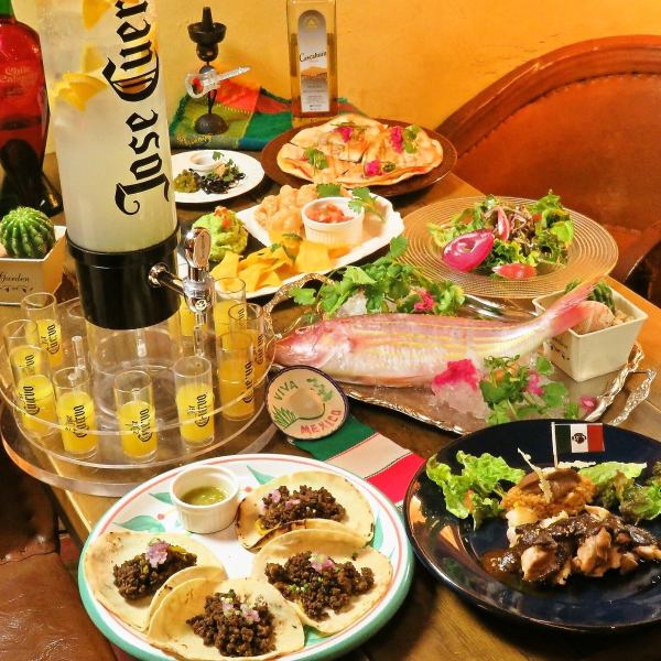 【メキシコ満喫コース】テキーラタワー＆120分飲み放題付　4950円→4500円！