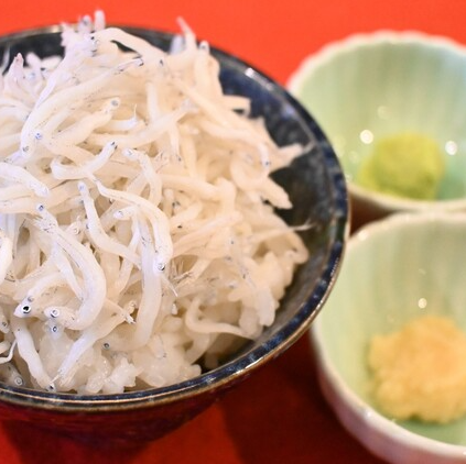 【静岡名物丼】釜揚げしらす小鉢丼