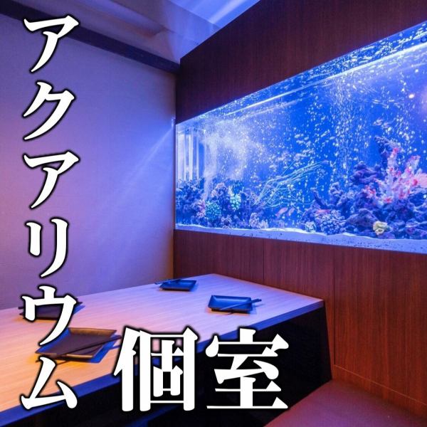 【アクアリウム完全個室】「深海」をコンセプトにしたアクアリウム個室は幻想空間。ライトアップされた巨大水槽は、まさに海の中にいるような非日常感と神秘的な雰囲気を味わえます。完全個室座席でよりプライベートな時間をお過ごし頂けます。デート、合コン、女子会、ママ会、誕生日、記念日におすすめです。