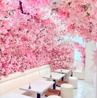 9名様~13名まで貸切OK!自分たちだけの空間を演出できるので、思い出になる時間を作り、心に残る特別な体験をしていただけます♪