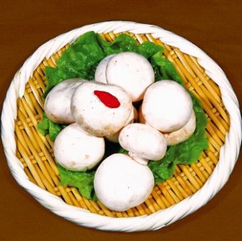 大人気の茸３