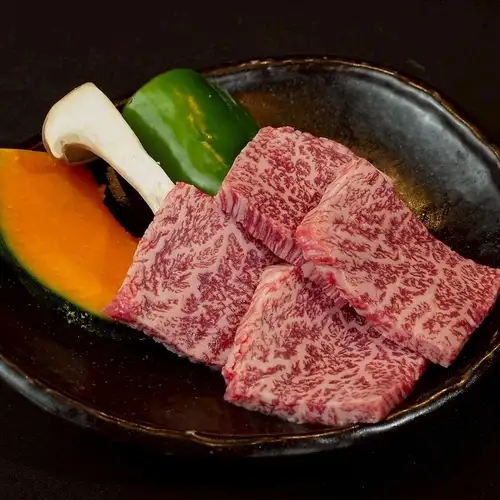 上赤身