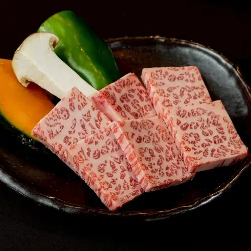 ハネシタ
